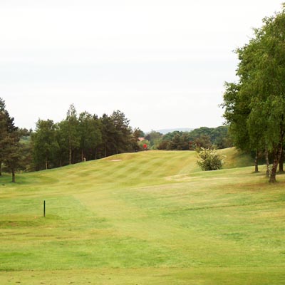 Pierfrancesco De Simone - Hayston Golf Club